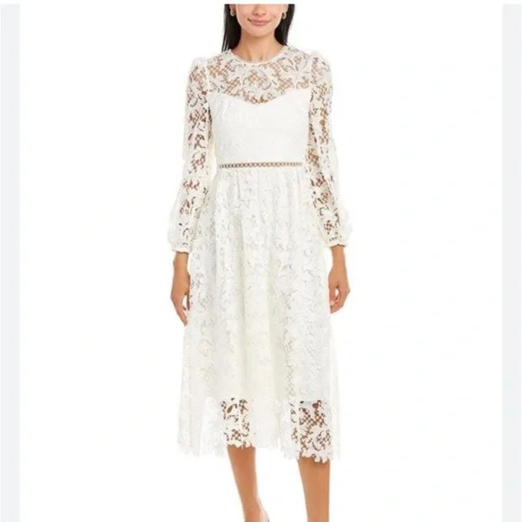 chinese dress ladies ML Monique Lhuillier Strapless Embroidered Tulle Minidress main image 0